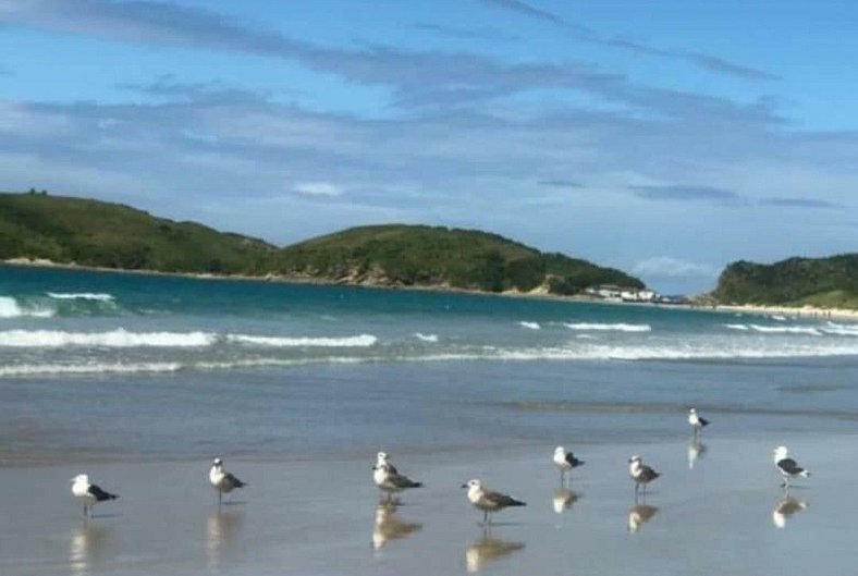 Cabo Frio - 8 guests, Privacy and Leisure